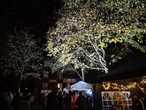 Beleuchtete Bäume vor einem Festzelt in einer nächtlichen Umgebung.