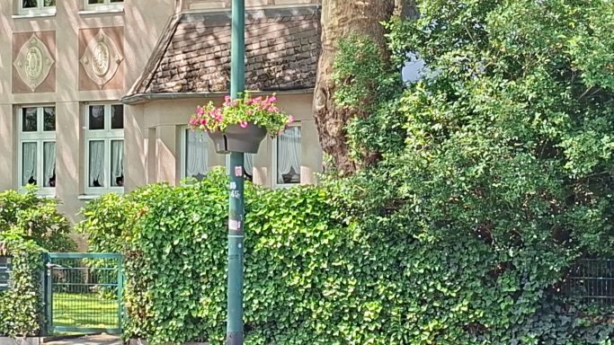 Blühende Pflanzen in einem Blumentopf an einem Laternenpfahl vor einem Haus.