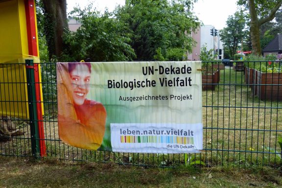 Banner für ein Projekt zur Förderung biologischer Vielfalt mit einem lächelnden jungen Mann.