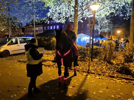 Eine Person mit Warnweste steht neben einem Pferd mit pinken Leuchten in einer nächtlichen Umgebung.