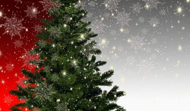Grüner Weihnachtsbaum vor einem schneebedeckten, festlich glühenden Hintergrund.
