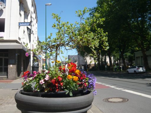 Bunte Blumen in einem Blumentopf auf einer Straßenecke mit Bäumen im Hintergrund.
