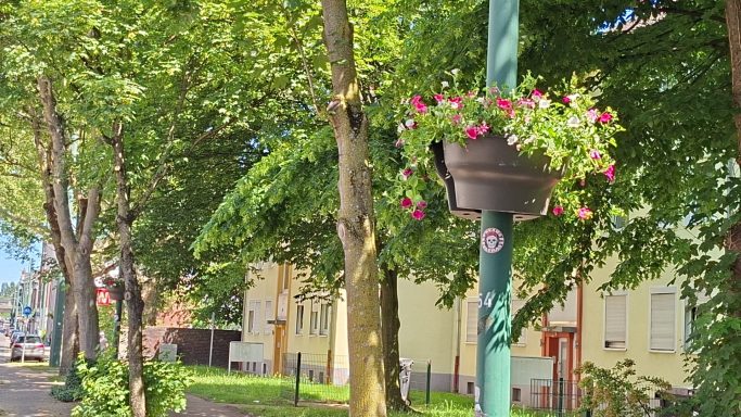 Bunter Blumenkübel hängt an einem Straßenpfosten, umgeben von Bäumen und Häusern.