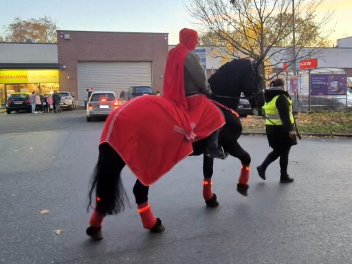 Pferd mit rotem Umhang und orangefarbener Beinschützer, begleitet von einer Person.